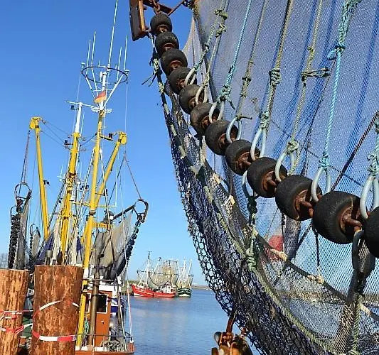 Godewind グレートジール